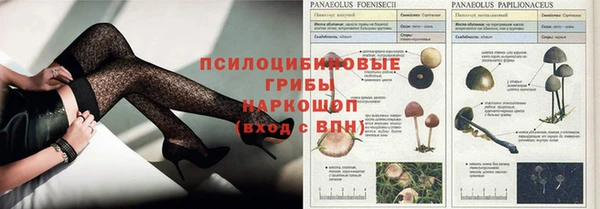 МДПВ Абаза