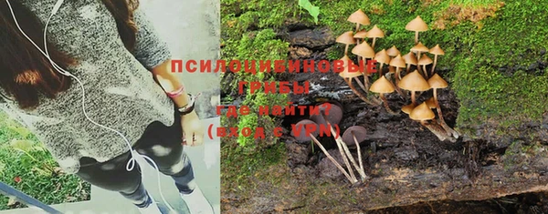 МДПВ Абаза