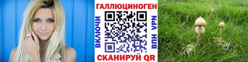 darknet наркотические препараты  наркошоп  Тотьма  Галлюциногенные грибы Psilocybe 