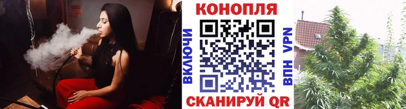 где купить наркотик  Тотьма  Каннабис конопля 